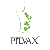 Pizza Pilvax