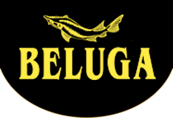 Pizza Beluga
